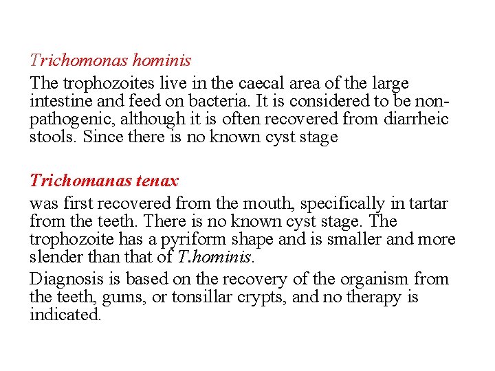 Trichomonas hominis The trophozoites live in the caecal area of the large intestine and