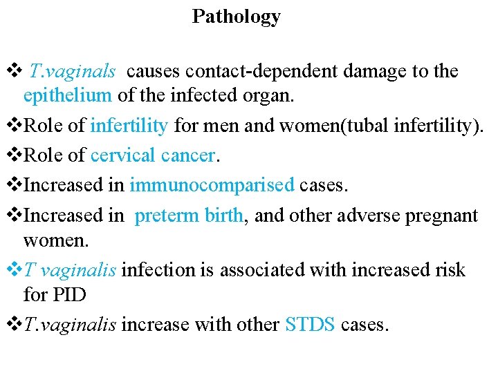 Pathology v T. vaginals causes contact-dependent damage to the epithelium of the infected organ.