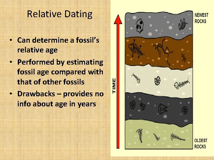 Relative Dating • Can determine a fossil’s relative age • Performed by estimating fossil