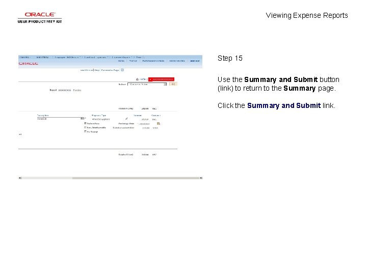 Viewing Expense Reports Step 15 Use the Summary and Submit button (link) to return