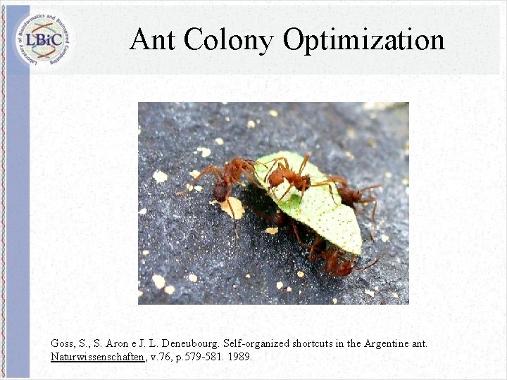 Ant Colony Optimization Goss, S. Aron e J. L. Deneubourg. Self-organized shortcuts in the