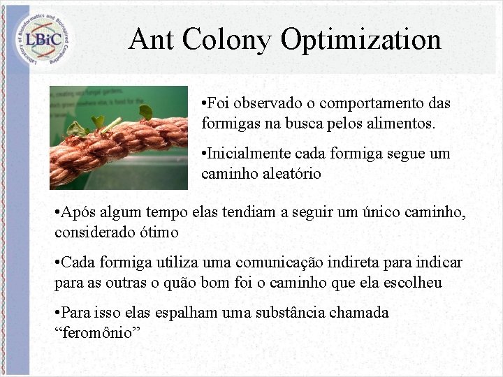 Ant Colony Optimization • Foi observado o comportamento das formigas na busca pelos alimentos.