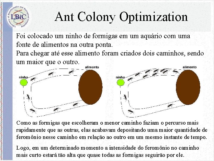 Ant Colony Optimization Foi colocado um ninho de formigas em um aquário com uma