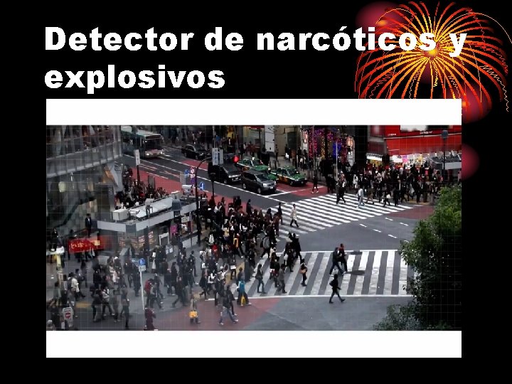 Detector de narcóticos y explosivos 