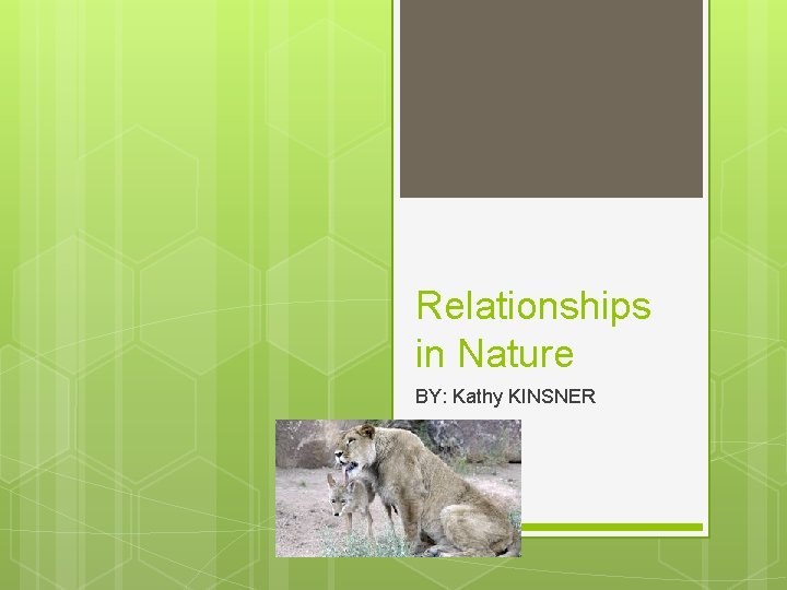 Relationships in Nature BY: Kathy KINSNER 