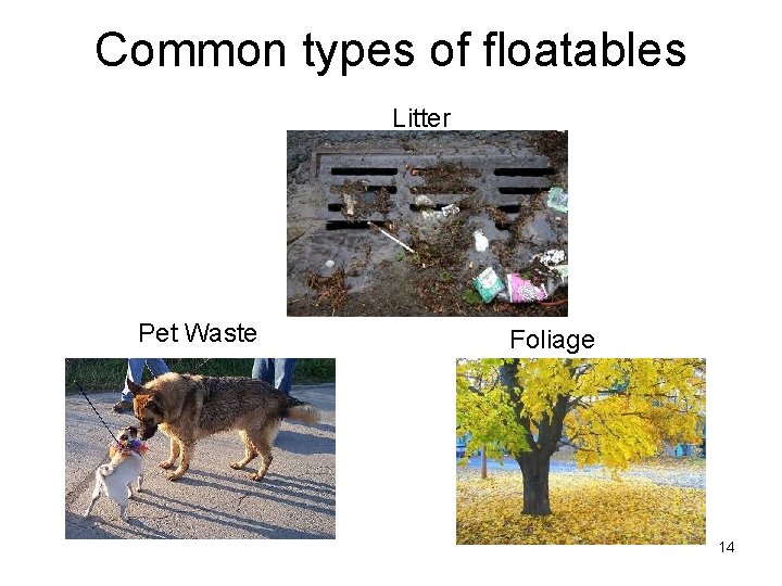 Common types of floatables Litter Pet Waste Foliage 14 Common types of floatables Litter Pet Waste Foliage 14