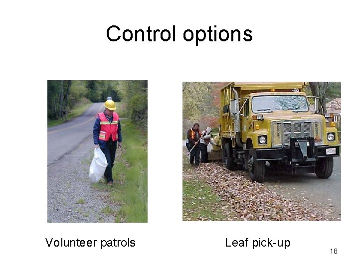 Control options Volunteer patrols Leaf pick-up 18 Control options Volunteer patrols Leaf pick-up 18