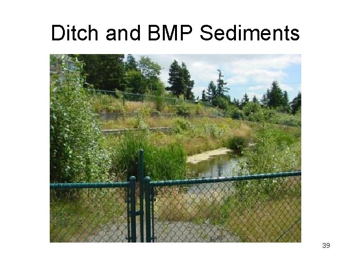 Ditch and BMP Sediments 39 Ditch and BMP Sediments 39