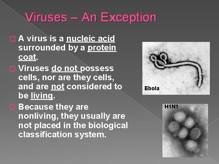 Viruses – An Exception A virus is a nucleic acid surrounded by a protein