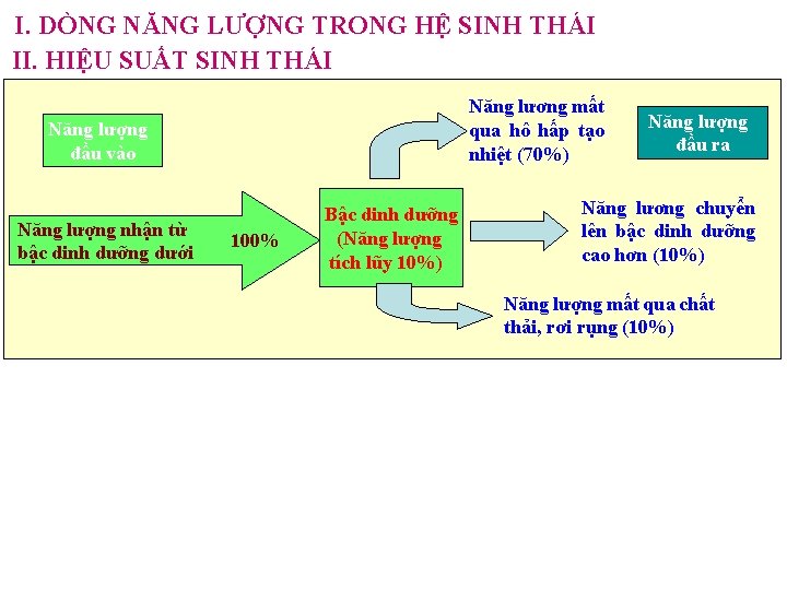 I. DÒNG NĂNG LƯỢNG TRONG HỆ SINH THÁI II. HIỆU SUẤT SINH THÁI Năng