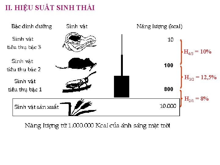 II. HIỆU SUẤT SINH THÁI H 4/3 = 10% 100 H 3/2 = 12,