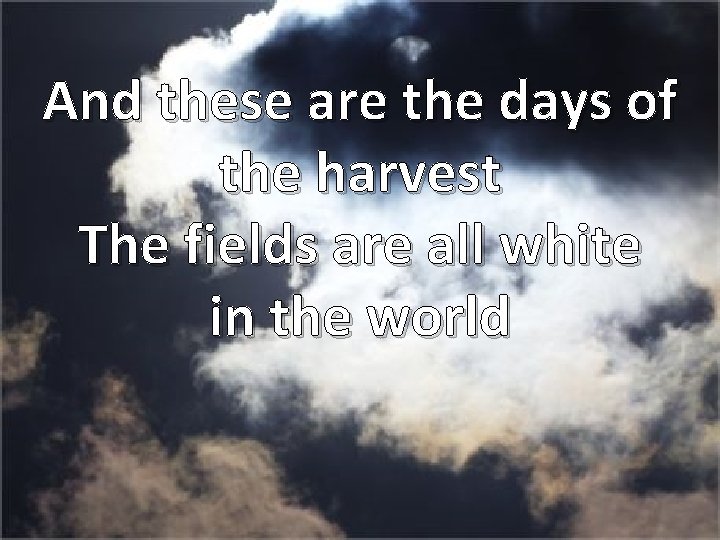 And these are the days of the harvest The fields are all white in