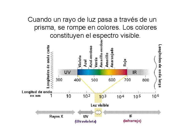 Cuando un rayo de luz pasa a través de un prisma, se rompe en