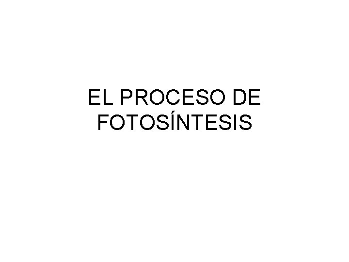 EL PROCESO DE FOTOSÍNTESIS 