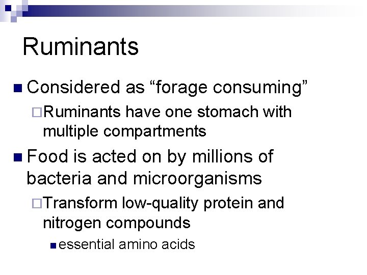 Ruminants n Considered as “forage consuming” ¨Ruminants have one stomach with multiple compartments n