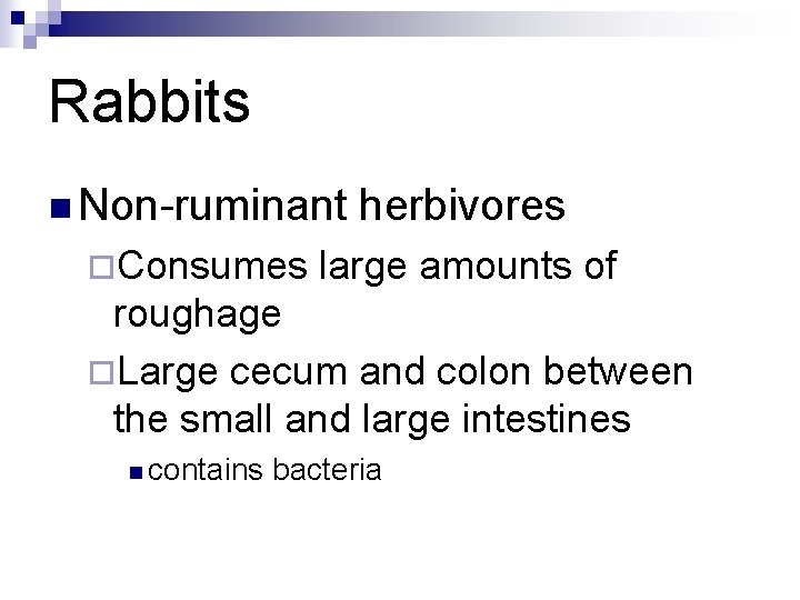 Rabbits n Non-ruminant ¨Consumes herbivores large amounts of roughage ¨Large cecum and colon between