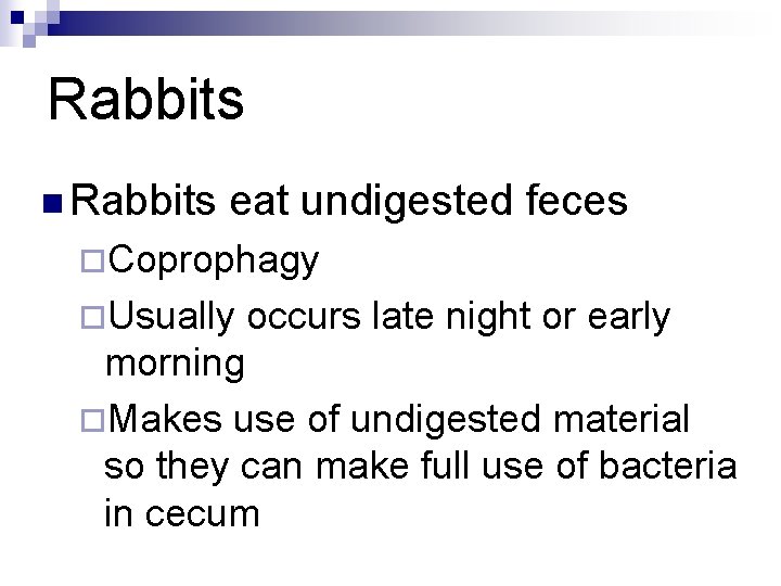 Rabbits n Rabbits eat undigested feces ¨Coprophagy ¨Usually occurs late night or early morning