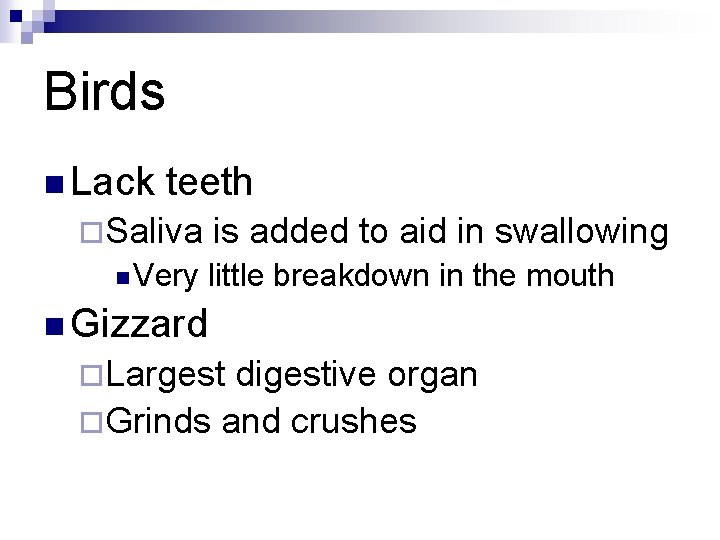 Birds n Lack teeth ¨Saliva n Very is added to aid in swallowing little