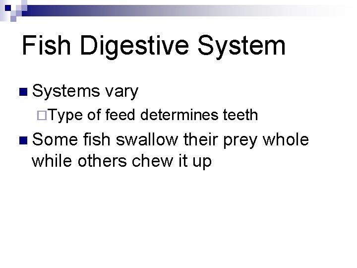 Fish Digestive System n Systems ¨Type n Some vary of feed determines teeth fish