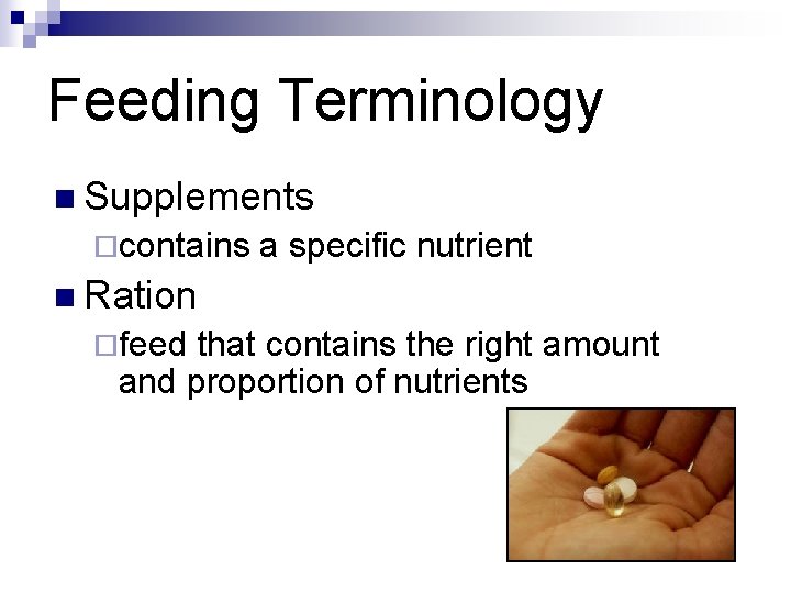 Feeding Terminology n Supplements ¨contains a specific nutrient n Ration ¨feed that contains the