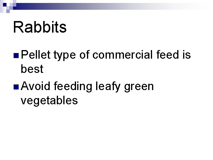 Rabbits n Pellet type of commercial feed is best n Avoid feeding leafy green