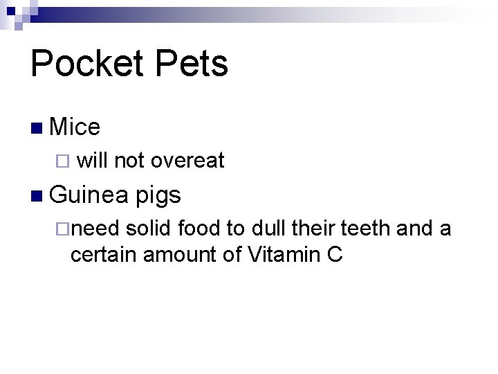 Pocket Pets n Mice ¨ will not overeat n Guinea ¨need pigs solid food