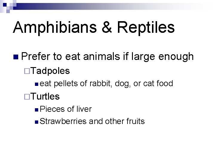 Amphibians & Reptiles n Prefer to eat animals if large enough ¨Tadpoles n eat