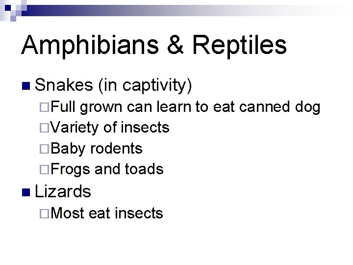 Amphibians & Reptiles n Snakes (in captivity) ¨Full grown can learn to eat canned