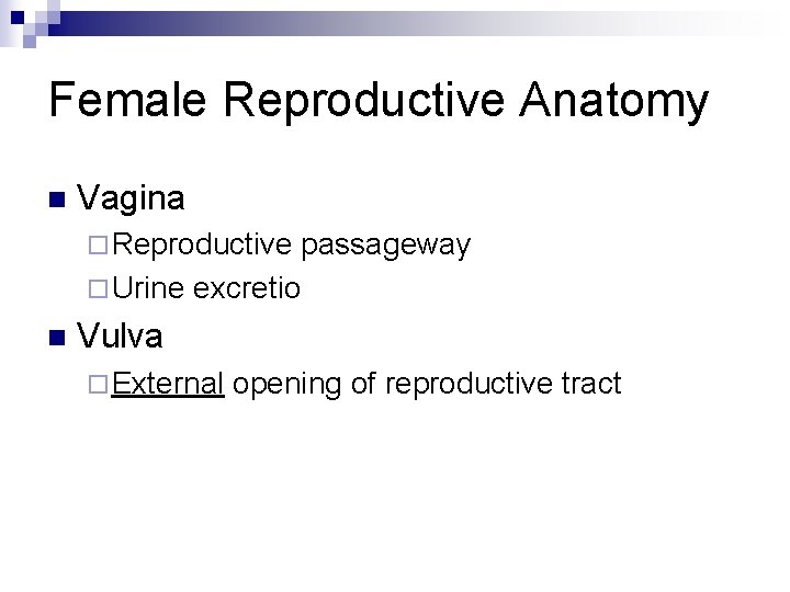 Female Reproductive Anatomy n Vagina ¨ Reproductive ¨ Urine n passageway excretio Vulva ¨