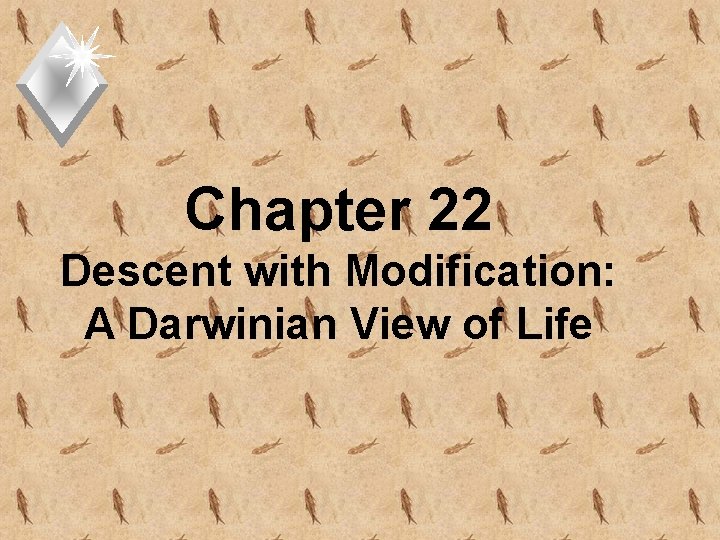 Chapter 22 Descent with Modification: A Darwinian View of Life 