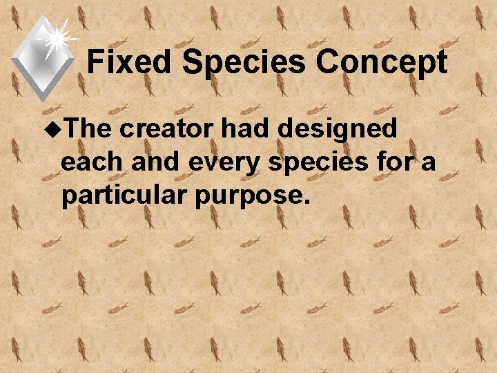 Fixed Species Concept u. The creator had designed each and every species for a