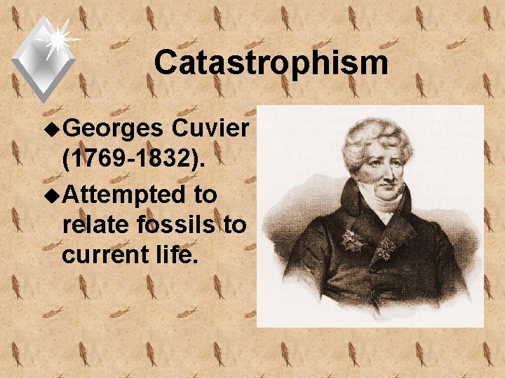 Catastrophism u. Georges Cuvier (1769 -1832). u. Attempted to relate fossils to current life.