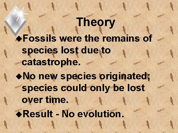 Theory u. Fossils were the remains of species lost due to catastrophe. u. No