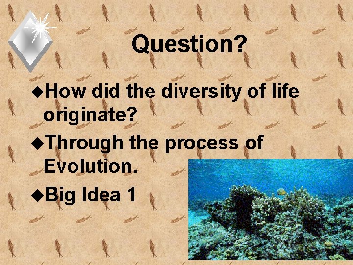 Question? u. How did the diversity of life originate? u. Through the process of