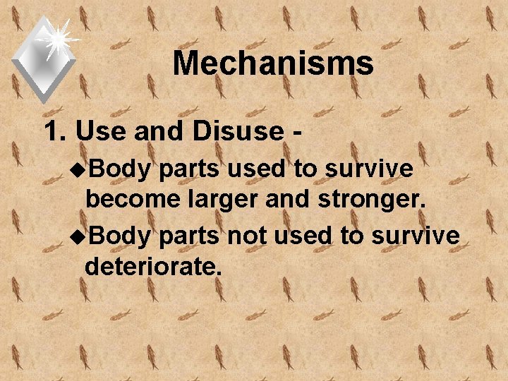 Mechanisms 1. Use and Disuse u. Body parts used to survive become larger and