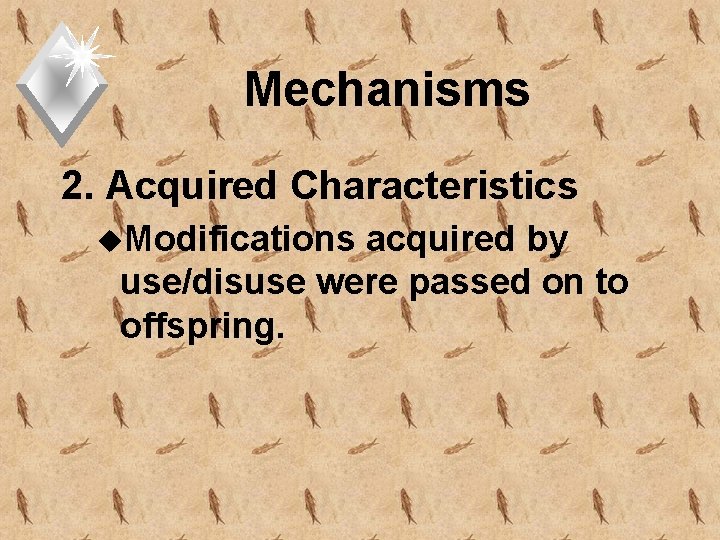 Mechanisms 2. Acquired Characteristics u. Modifications acquired by use/disuse were passed on to offspring.