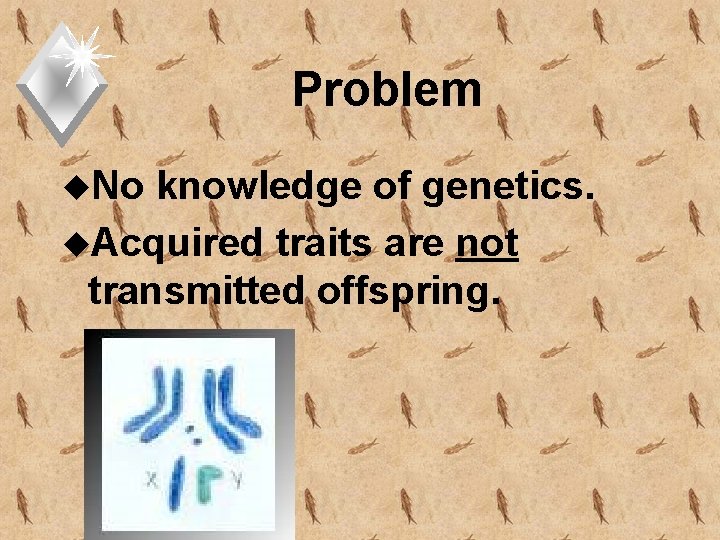 Problem u. No knowledge of genetics. u. Acquired traits are not transmitted offspring. 