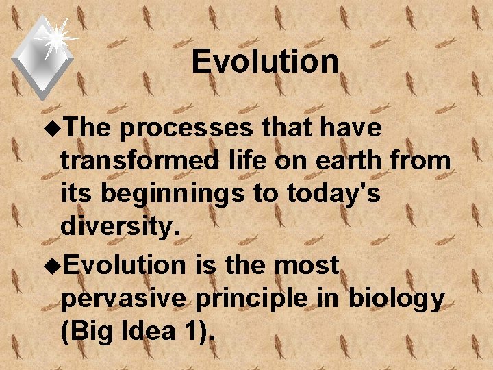 Evolution u. The processes that have transformed life on earth from its beginnings to