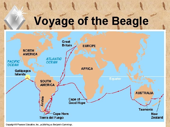 Voyage of the Beagle 