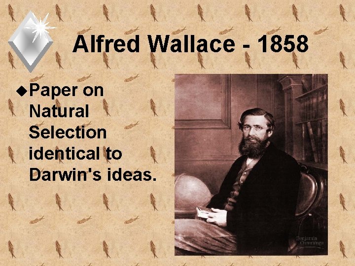 Alfred Wallace - 1858 u. Paper on Natural Selection identical to Darwin's ideas. 