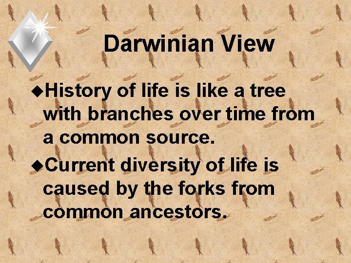 Darwinian View u. History of life is like a tree with branches over time