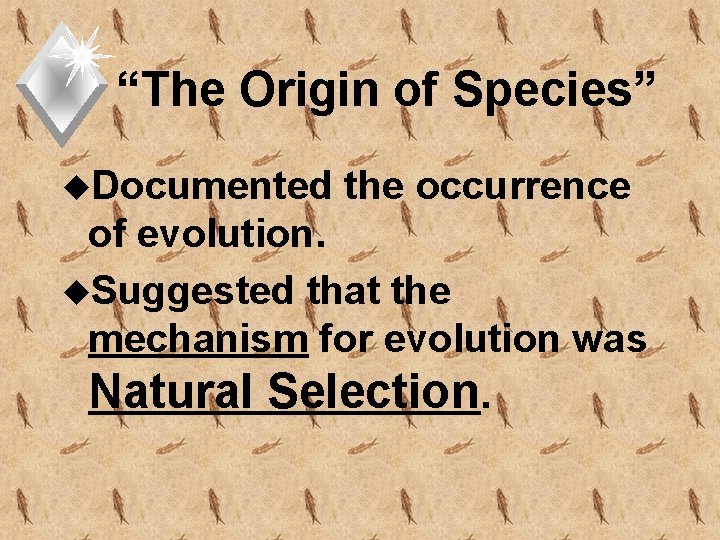 “The Origin of Species” u. Documented the occurrence of evolution. u. Suggested that the