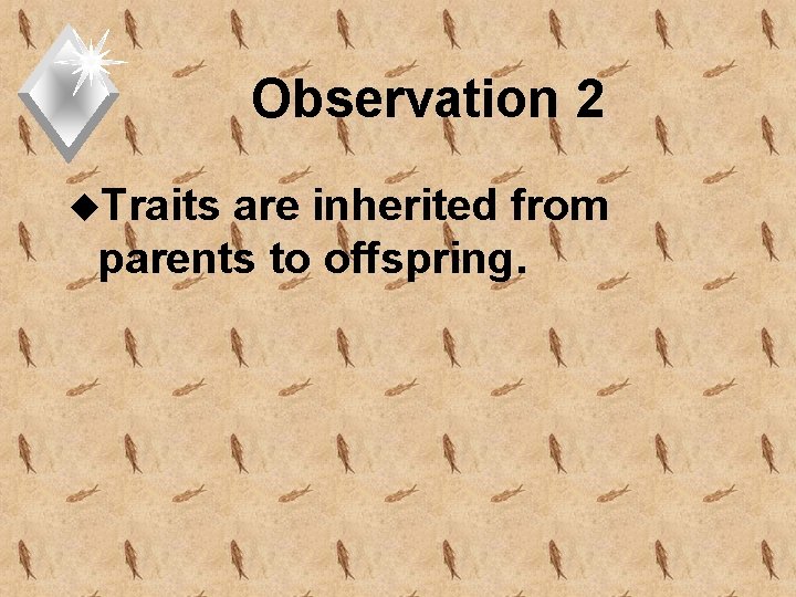 Observation 2 u. Traits are inherited from parents to offspring. 