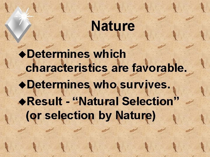 Nature u. Determines which characteristics are favorable. u. Determines who survives. u. Result -