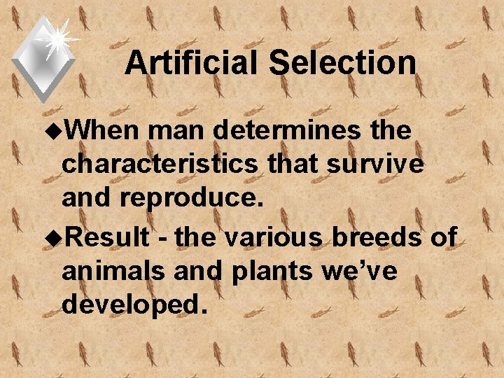 Artificial Selection u. When man determines the characteristics that survive and reproduce. u. Result