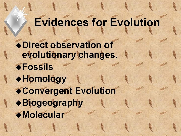 Evidences for Evolution u. Direct observation of evolutionary changes. u. Fossils u. Homology u.