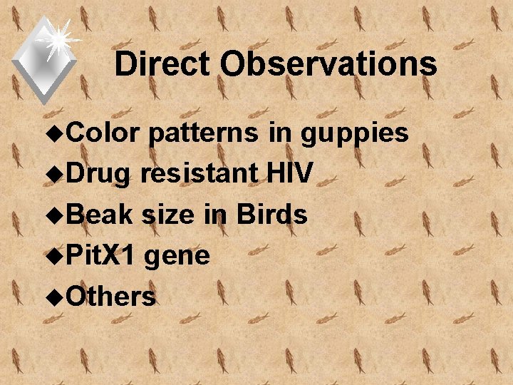 Direct Observations u. Color patterns in guppies u. Drug resistant HIV u. Beak size