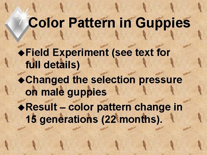 Color Pattern in Guppies u. Field Experiment (see text for full details) u. Changed