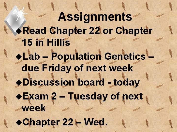Assignments u. Read Chapter 22 or Chapter 15 in Hillis u. Lab – Population