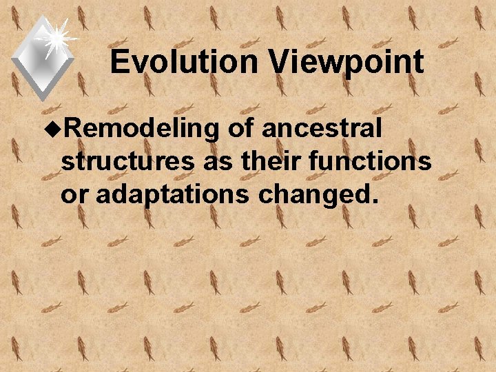 Evolution Viewpoint u. Remodeling of ancestral structures as their functions or adaptations changed. 